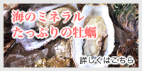 海のミネラルたっぷりの牡蠣