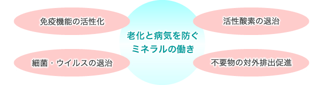 老化と病気を防ぐミネラルの働き