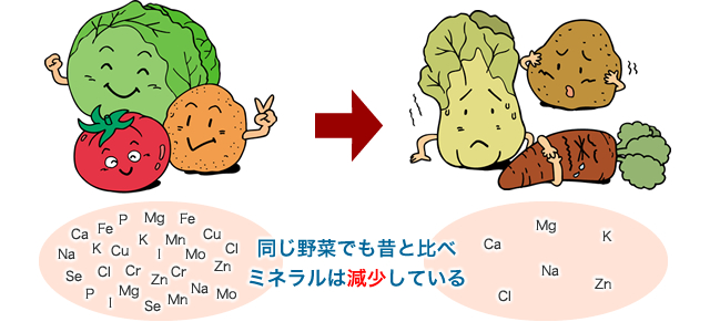 同じ野菜でも昔と比べミネラルは減少している