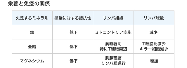 栄養と免疫の関係