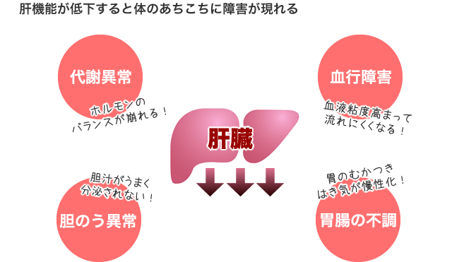 肝機能が低下すると体のあちこちに障害が現れる