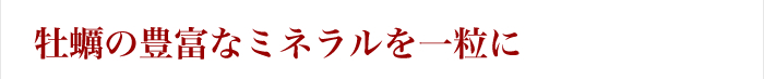 牡蠣の豊富なミネラルを一粒に