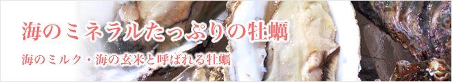 海のミネラルたっぷりの牡蠣　海のミルク・海の玄米と呼ばれる牡蠣